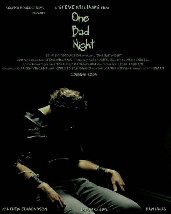 One Bad Night (2015) постер