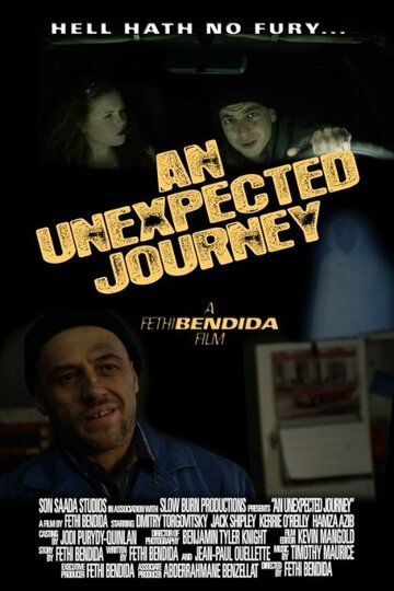 An Unexpected Journey (2015)